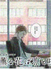 一起去露营户外真人秀封面